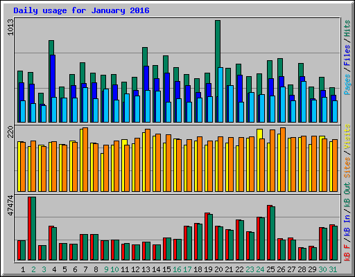 Daily usage for January 2016