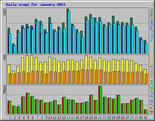 Daily usage for January 2023