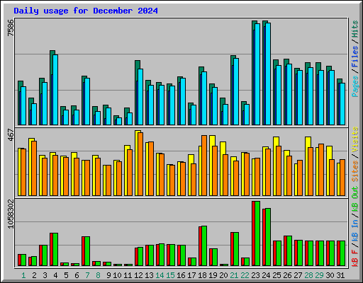 Daily usage for December 2024