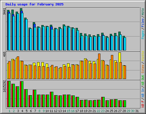 Daily usage for February 2025
