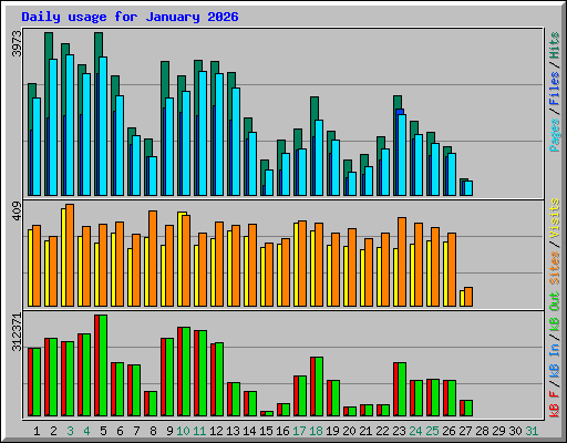 Daily usage for January 2026