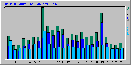 Hourly usage for January 2016