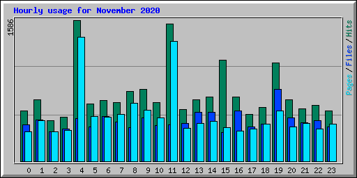 Hourly usage for November 2020