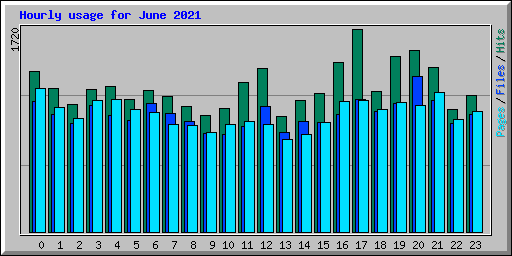 Hourly usage for June 2021