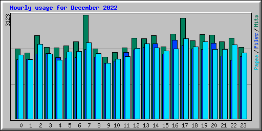 Hourly usage for December 2022