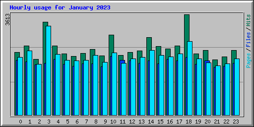 Hourly usage for January 2023