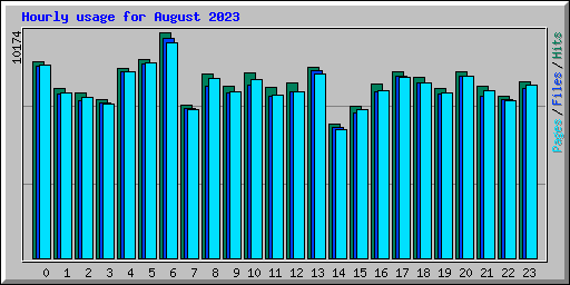 Hourly usage for August 2023