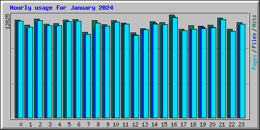 Hourly usage for January 2024