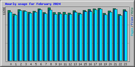 Hourly usage for February 2024