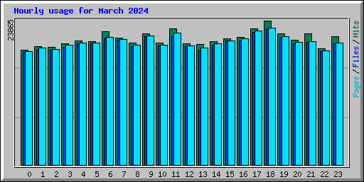 Hourly usage for March 2024