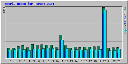 Hourly usage for August 2024