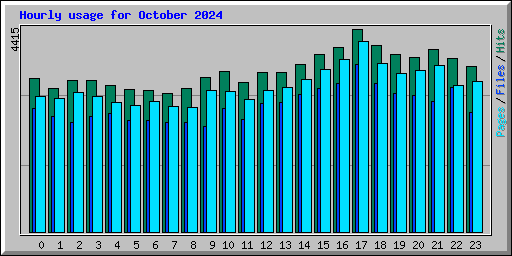 Hourly usage for October 2024