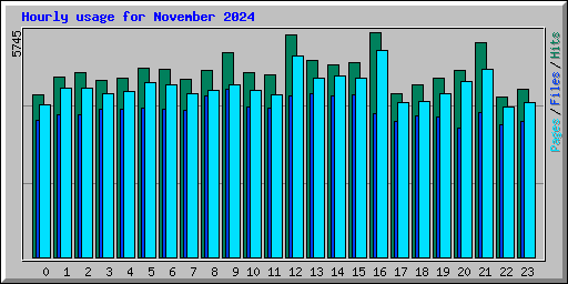 Hourly usage for November 2024