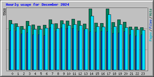 Hourly usage for December 2024