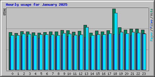 Hourly usage for January 2025