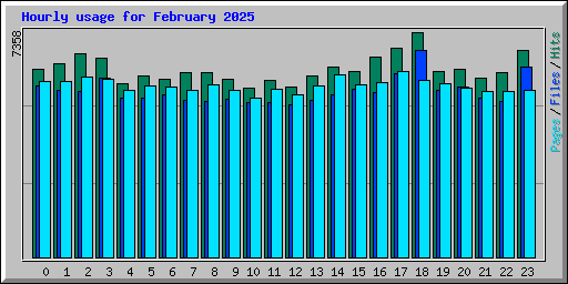 Hourly usage for February 2025