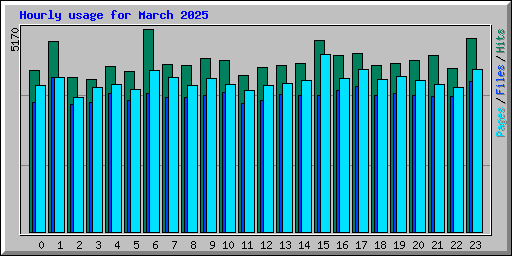 Hourly usage for March 2025