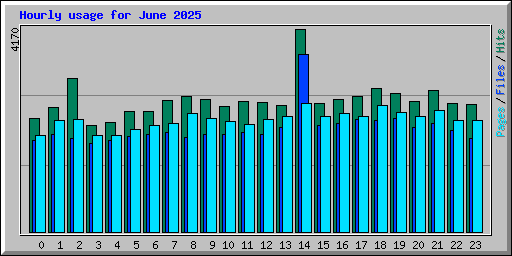 Hourly usage for June 2025