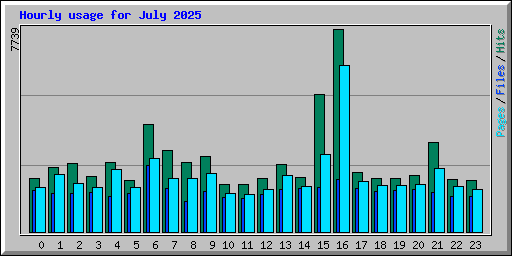 Hourly usage for July 2025