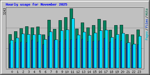 Hourly usage for November 2025