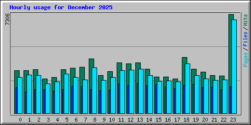Hourly usage for December 2025