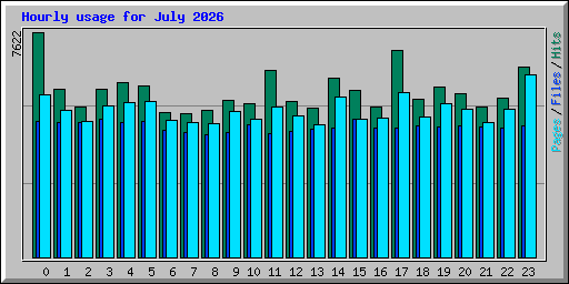 Hourly usage for July 2026